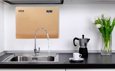 沃刻凈水器 副市長代言，大品牌值得信賴的凈水選擇